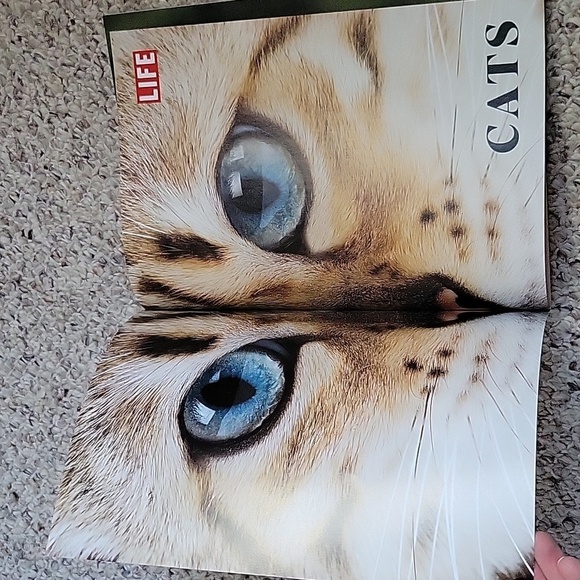 2019 LIFE Magazine "Cats: Companions in Life" Brand New Condition - Picture 2 of 6